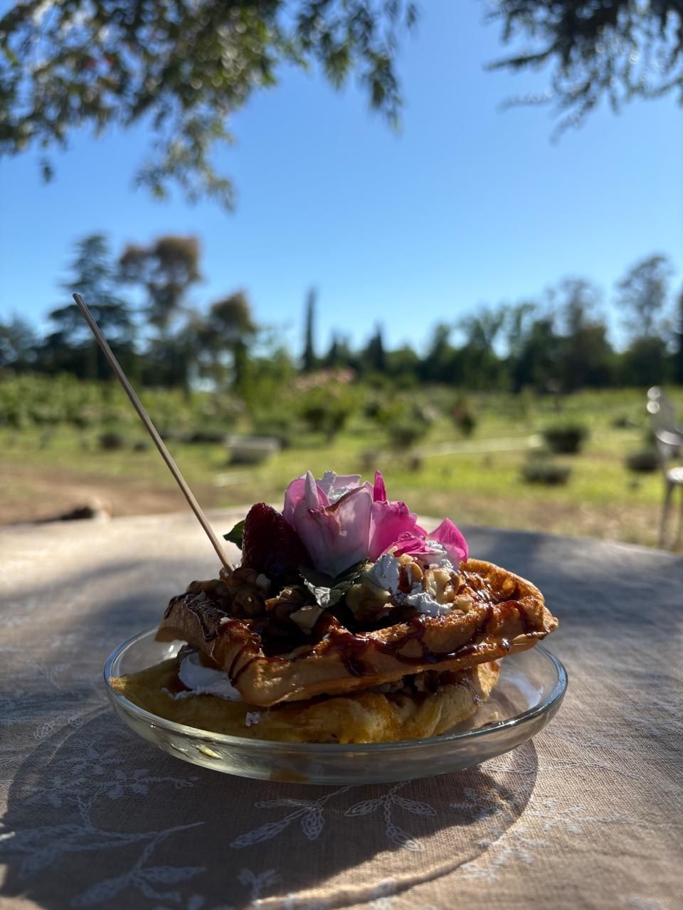 Waffle de lavanda con frutas, chocolate, nueces y flor comestible — especialidad de MAMU Casa de Té en Calmayo